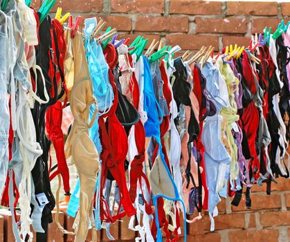 multicolored bras on line over brick wall