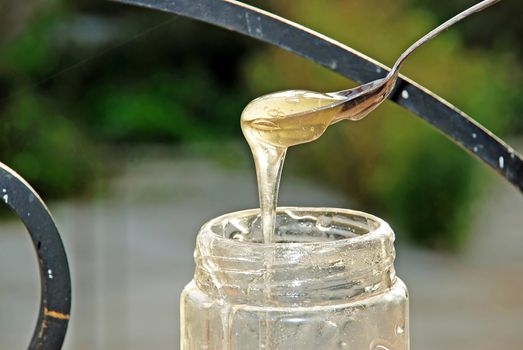 dense sweet gold honey on spoon from jar