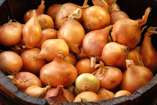 orange large onion bulbs in wooden barrel