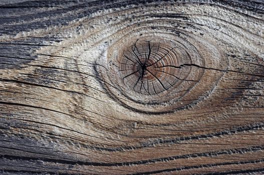 Detail of the wood texture with nob - abstract