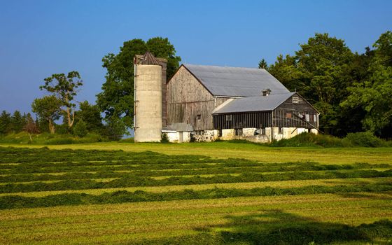 Hay harvest underway on an Ontario farm