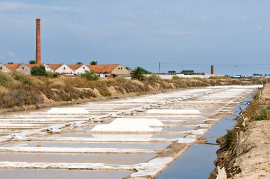 Portugal, Algarve. Saline marshes in Tavira.