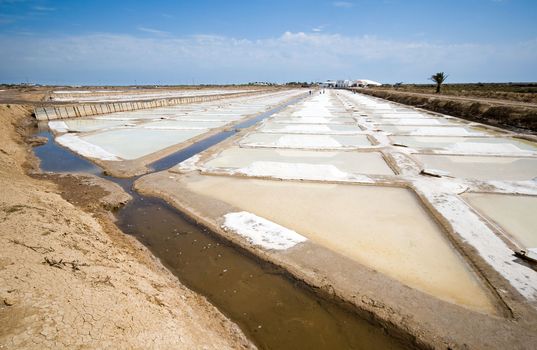 Portugal, Algarve. Saline marshes in Tavira.