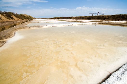 Portugal, Algarve. Saline marshes in Tavira.