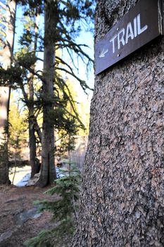 Trail sign in the forest pointing the correct direction to follow.