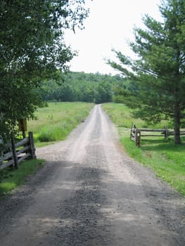 dirt road through a field