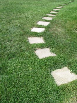 path through the grass