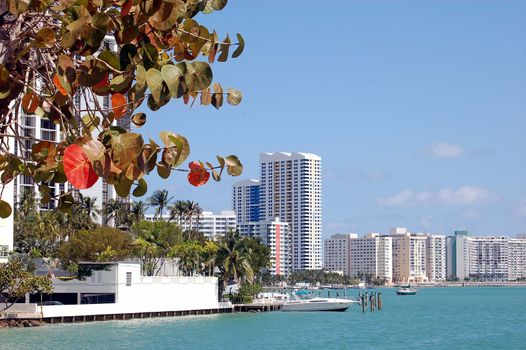 View of a smal marina and condo skyline of the southbeach section of miami beach,florida