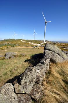 wind turbines black and white