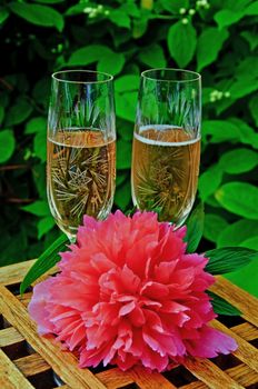 Two glasses of pink champagne with a pink peony in front