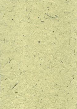 Detail of the rough surface of the handmade paper with remains of plants - natural product