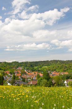 This image shows a black forest village in spring with a dandelion meadow in front