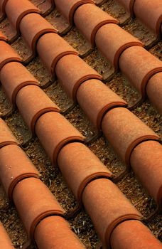 Image shows rows of tiles from a roof