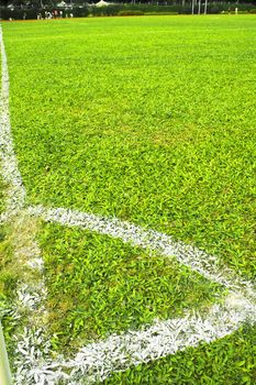 football field with green grass and white line