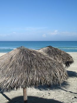 tropical seascape