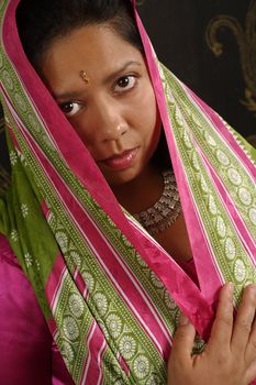A beautiful Indian woman wearing a traditional sari and looking at the camera.
