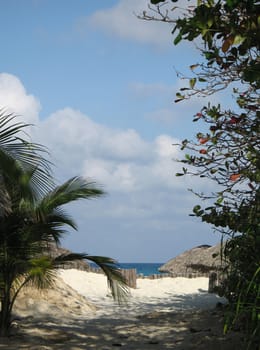 tropical seascape