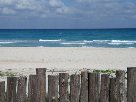 tropical seascape