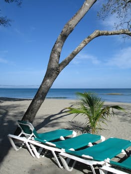 tropical seascape