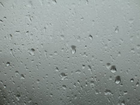 rain drops