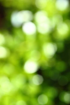 Abstract green blurred green background with bokeh