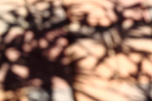Abstract brown blurred shadow background
