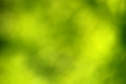 Abstract green blurred green background
