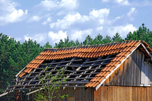 Demolished tiled roof of old wooden house in forest