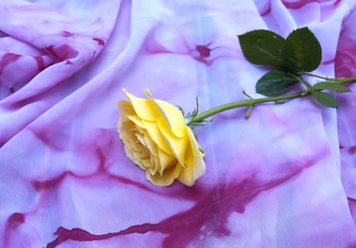 Yellow rose on silk scarf