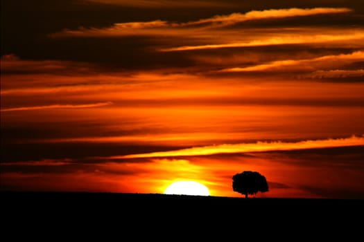 beautiful sunset in Alentejo