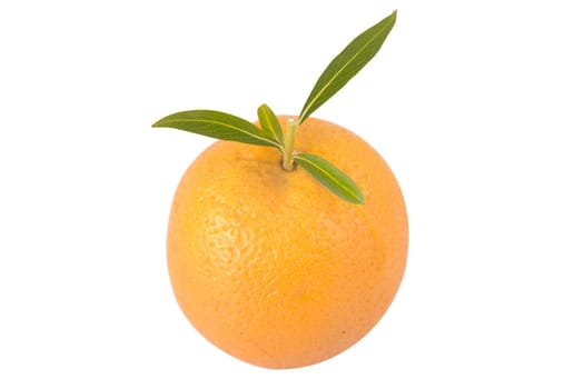 front view of orange with green leaves