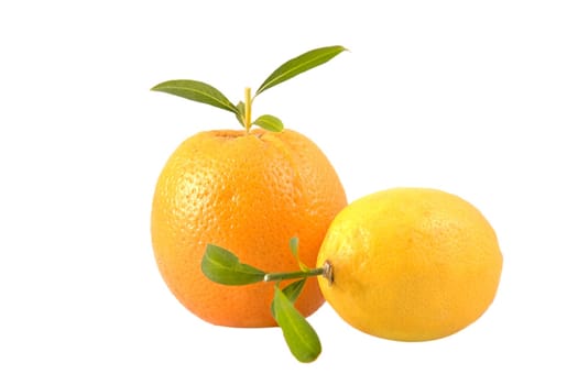 front view of fresh lemon and orange with leaves
