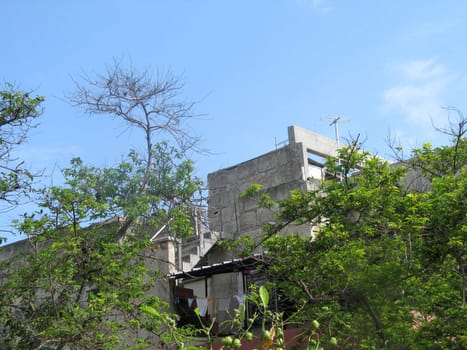 building through the trees