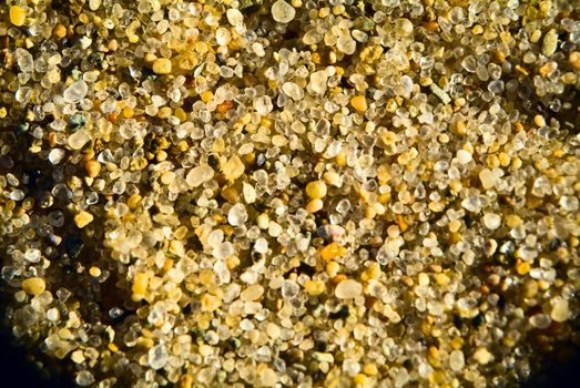 Extrem Close-up shoot of sand on the beach