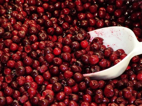 Shoot of Frozen Cranberries on the foodshop