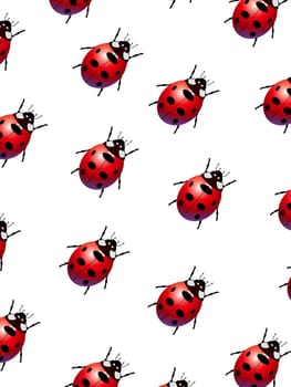 Illustrated Ladybird bugs crawling across a white background 