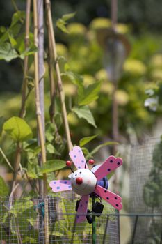 A childs plant pot decoration of a stylised bee. Set in a vegetable garden amongst growing runner beans.