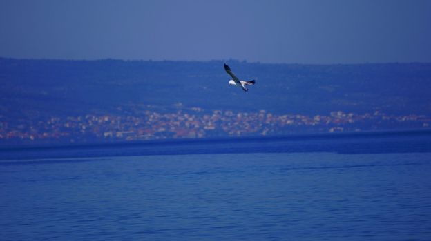 The beautifull adriatic sea in Croatia