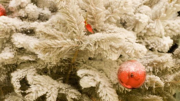 Close up of christmas tree