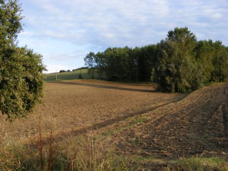 Landscape of fields and hills