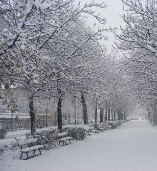 A snowy street in a citizen park