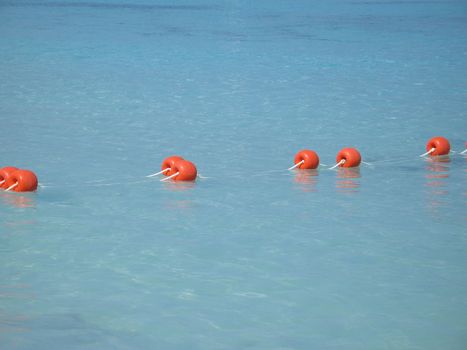 buoys on the ocean