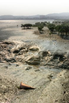 City environment with trash and mangrove tree on silt in day.