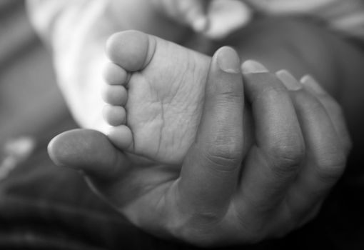 Parents hands hold baby boy legs