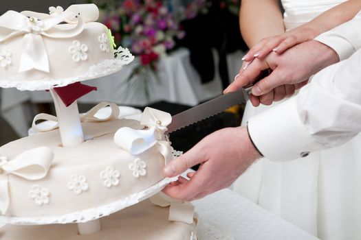 hands of bride and groom cut of a slice of a wedding cake
