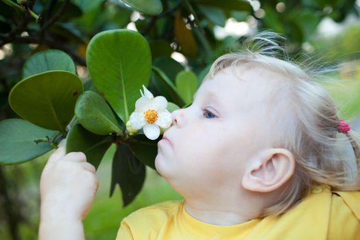 little girl smelling flower of the tree