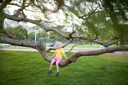 frightentd child on the tree