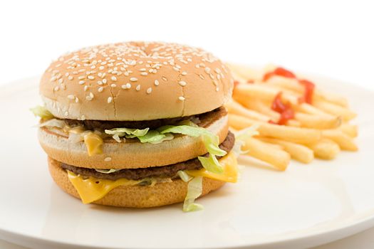 cheeseburger and french fries, shallow DOF, shot on white