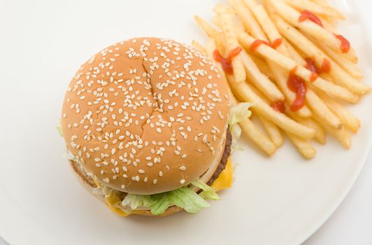 cheeseburger and french fries, shallow DOF, shot on white