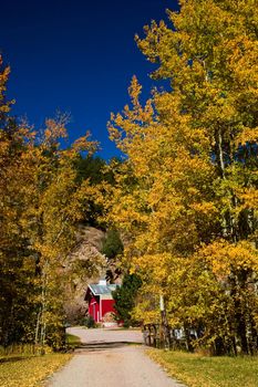 A rural Colorado red Barn seems hidden among the changing fall foliage of trees